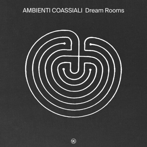 Ambienti Coassiali: Dream Rooms - VINYL LP