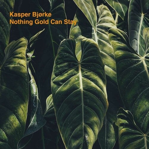 Kasper Bjorke: Nothing Gold Can Stay - VINYL LP