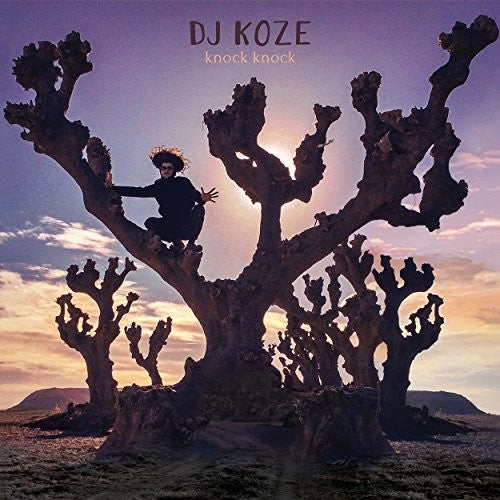 DJ Koze: Knock Knock - VINYL LP