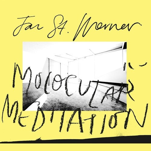 Jan St. Werner: Molocular Meditation - VINYL LP