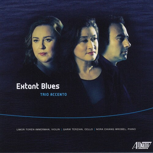 Toren-Immerman / Terzian / Wrobel: Extant Blues Trio Accento - COMPACT DISCS
