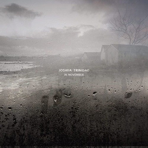 Joshua Trinidad: In November - VINYL LP