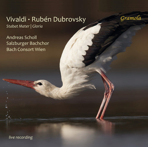 Vivaldi / Herfurtner / Bachchor: Stabat Mater / Gloria - COMPACT DISCS