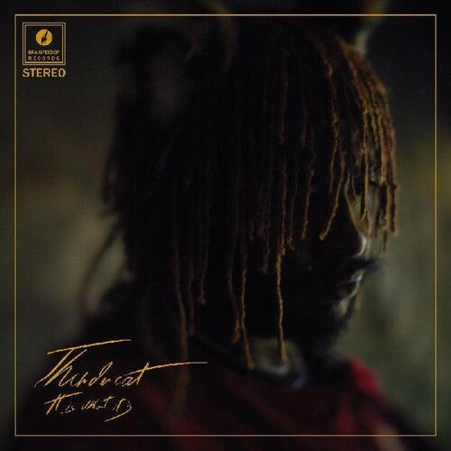 Thundercat: It Is What It Is - COMPACT DISCS