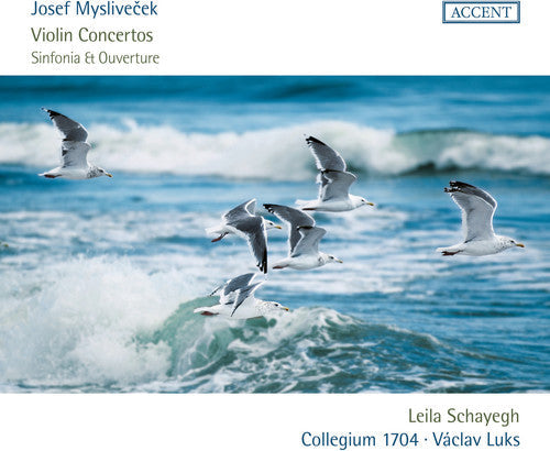 Myslivecek / Schayegh: Violin Concertos - COMPACT DISCS