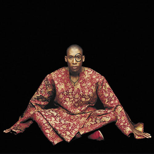 Raphael Saadiq: Instant Vintage - COMPACT DISCS
