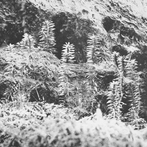Acronym / Korridor: Untitled - 12-INCH SINGLE