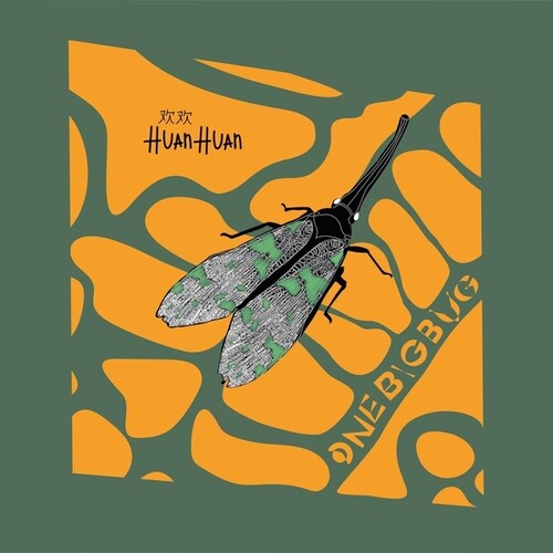 Huan Huan: One Big Bug - 12-INCH SINGLE