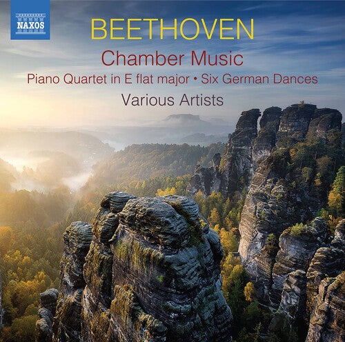 Various: Chamber Music - COMPACT DISCS