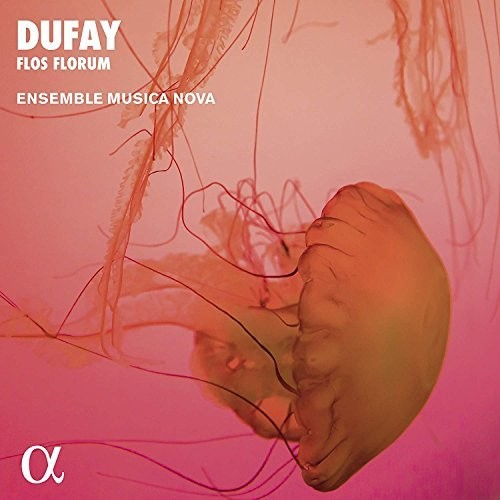 Dufay / Ensemble Musica Nova: Flos Florum - COMPACT DISCS