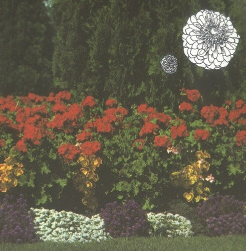 Imaginary Softwoods: Annual Flowers in Color - VINYL LP