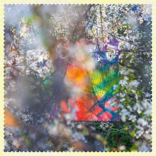 Four Tet: Sixteen Oceans - VINYL LP