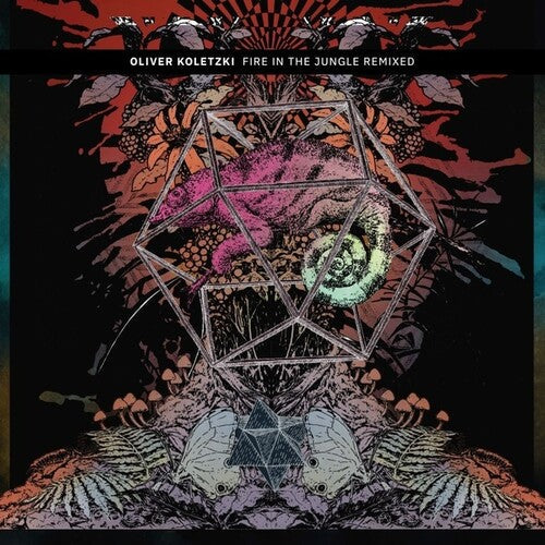 Oliver Koletzki: Fire in the Jungle Remixed - VINYL LP
