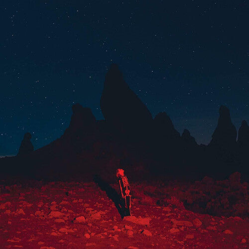Phoebe Bridgers: Punisher - VINYL LP