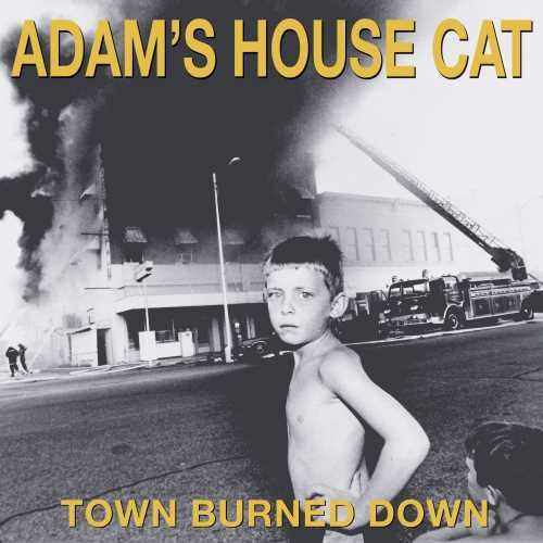 Adam's House Cat: Town Burned Down - VINYL LP