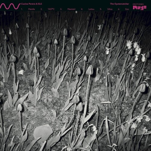 Cucina Povera & Els: The Oystercatcher - VINYL LP