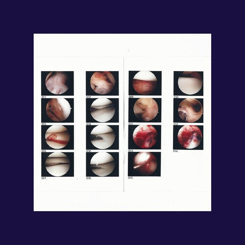 Cradle: Laughing In My Sleep - COMPACT DISCS