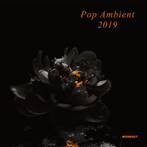 Various Artists: Pop Ambient 2019 (Various Artists) - VINYL LP