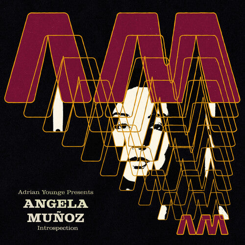 Angela Munoz: Introspection - COMPACT DISCS