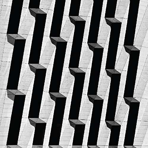 Snow Palms: Everything Ascending - VINYL LP