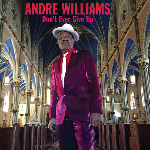 Andre Williams: Dont Ever Give Up - VINYL LP