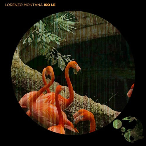 Lorenzo Montana: Iso Le - COMPACT DISCS