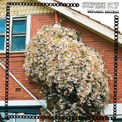 Suprise Chef: Daylight Savings - COMPACT DISCS