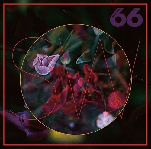 SW: TRUElipS - VINYL LP