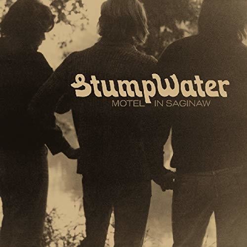 Stumpwater: Motel In Saginaw - VINYL LP