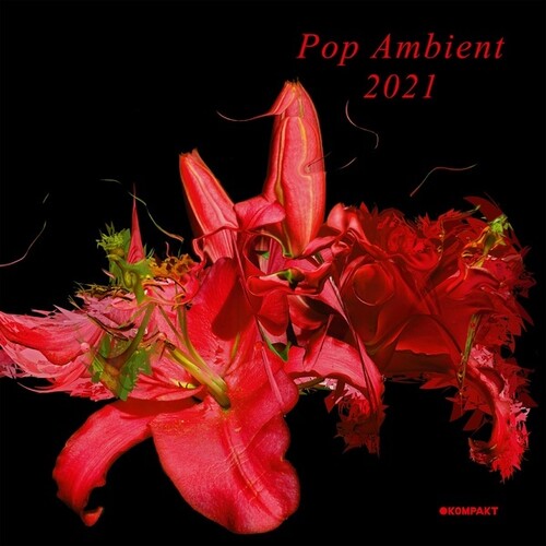 Various Artists: Pop Ambient 2021 (Various Artists) - COMPACT DISCS