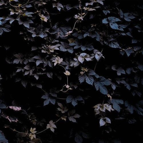 Michael Vallera: Vivid Flu - VINYL LP