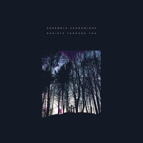 Ensemble Economique: Radiate Through You - VINYL LP