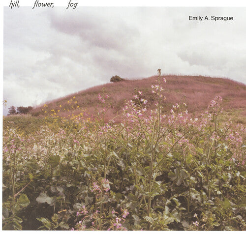 Emily a Sprague: Hill, Flower, Fog - VINYL LP