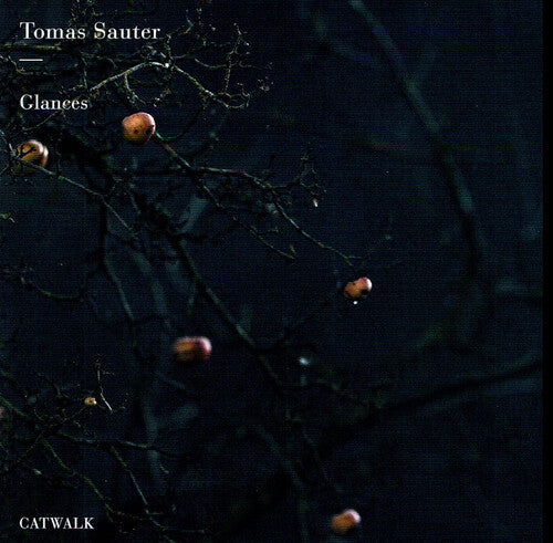 Sauter / Sauter: Glances - COMPACT DISCS