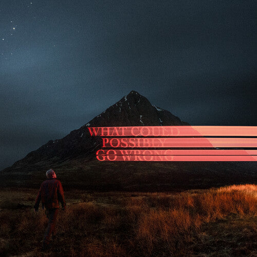 Dominic Fike: What Could Possibly Go Wrong - VINYL LP