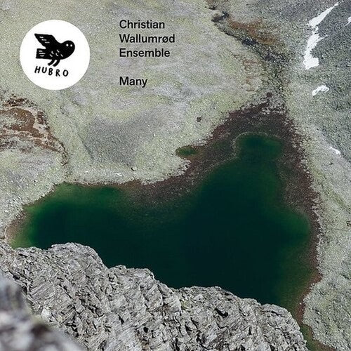 Christian Wallumrod: Many - VINYL LP