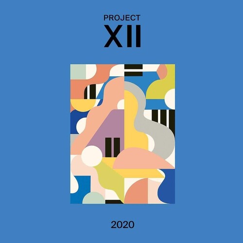 Various Artists: Xii 2020 - VINYL LP