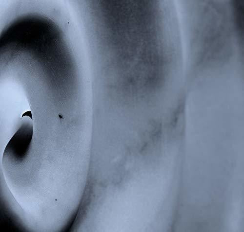 D'Voxx: Telegraphe - COMPACT DISCS