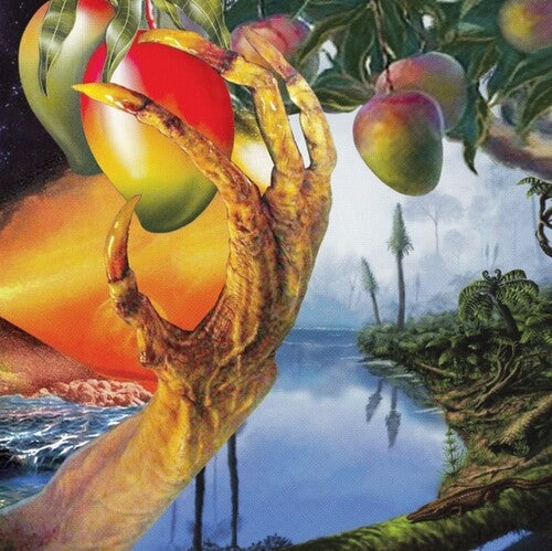 Timelash: A Morphology Of Wonders - VINYL LP