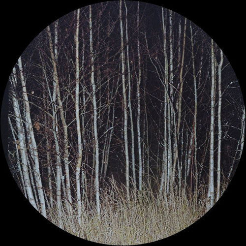 Liem & Ness, Eddie: Where Is the Shredmaster - 12-INCH SINGLE
