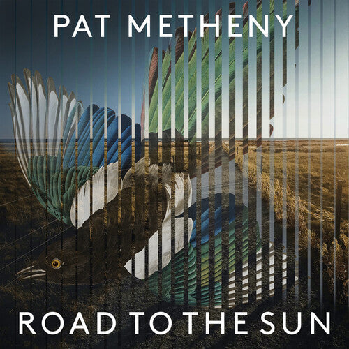 Pat Metheny: Road To The Sun - VINYL LP