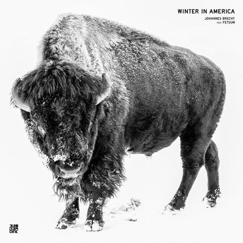 Brecht, Johannes / Fetsum: Winter In America - 12-INCH SINGLE