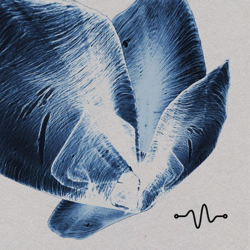 Various Artists: Oscillate Tracks 002 - 12-INCH SINGLE