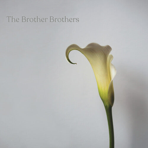 The Brother Brothers: Calla Lily - COMPACT DISCS
