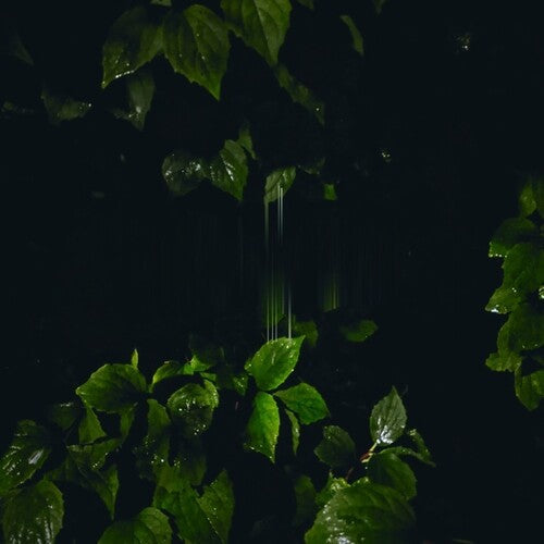 Martina Bertoni: Music For Empty Flats - VINYL LP