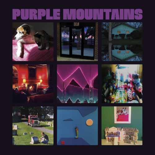 Purple Mountains: Purple Mountains - VINYL LP