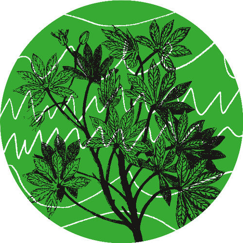 Auntie Flo: Brasil Novas Frequencias - 12-INCH SINGLE