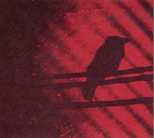 Silver Mt. Zion: Born Into Trouble As the Sparks Fly Upward - VINYL LP