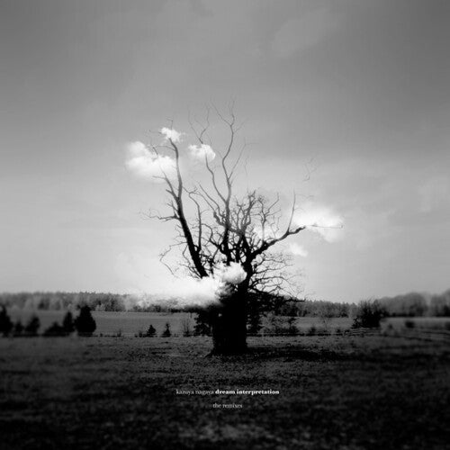 Kazuya Nagaya: Dream Interpretation (Remixes) - VINYL LP
