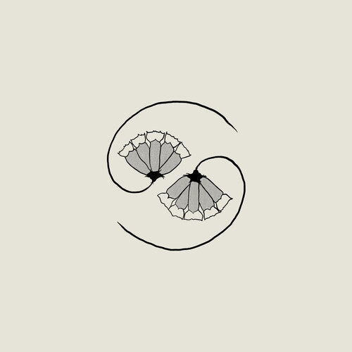Godspeed You Black Emperor: G_d's Pee AT STATE'S END! - COMPACT DISCS